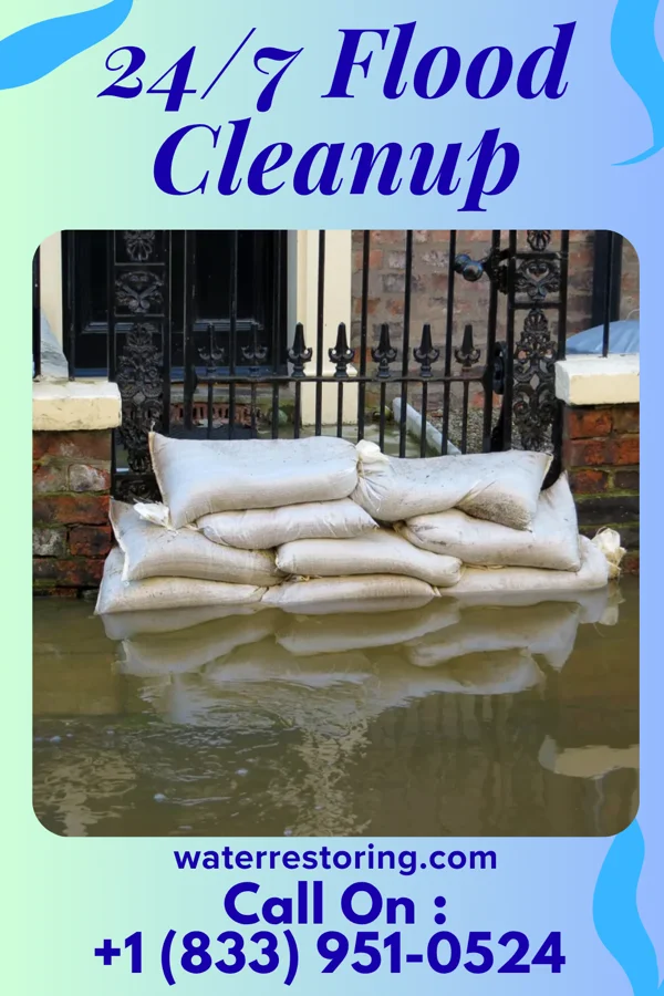 24/7 Flood Cleanup in Delhi, LA