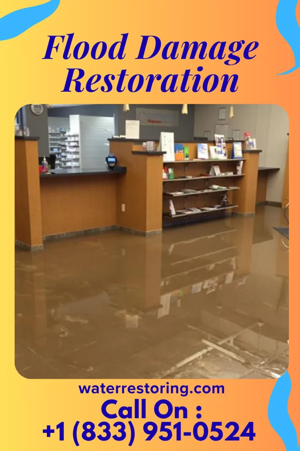 Flood Damage Restoration in Delhi, LA