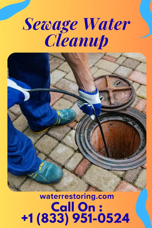 Sewage Water Cleanup in Delhi, LA