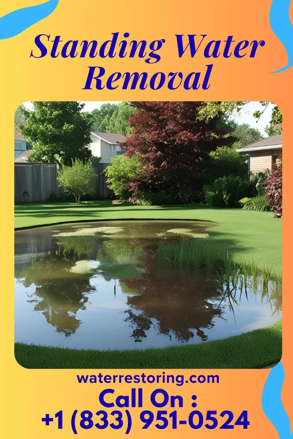 Standing Water Removal in Delhi, LA